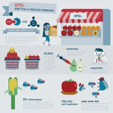 GMOs infographics vector Stock Illustration
