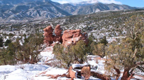 Gnarled Cedar Tree at GOG Twins I Stock Footage 23788134