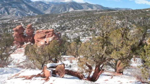 Gnarled Juniper Root near GOG Twins Stock Footage 23788122