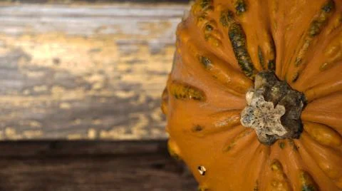 Gnarly  old  lookoing  pumpkin  bumpy  orange Stock Photos