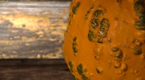 Gnarly  old  lookoing  pumpkin  bumpy  orange Stock Photos