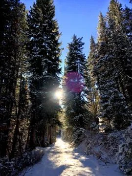 Gnarnia Stock Photos