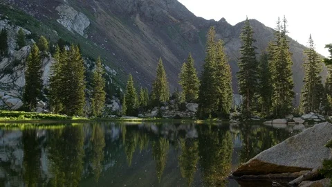 Gnats bugs lake Stock Footage 103565714