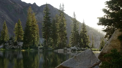 Gnats bugs lake pine Stock Footage 103565707