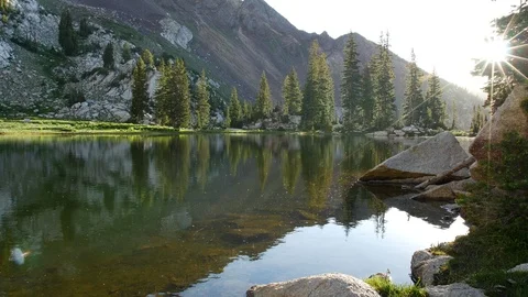 Gnats bugs lake wide Video stock 103565746