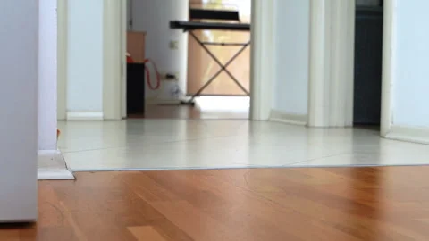 Gnawed apple rolls on the floor. Microbes from unwashed fruits, disinfection Stock Footage 253834575