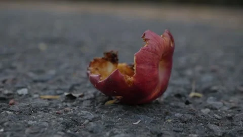 A gnawed rotting red apple in the park. garbage on  street. ecological problem Stock Footage 260417546