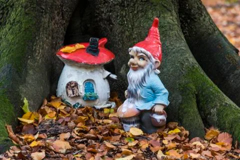 Gnom in a Beech Forest Stock Photos