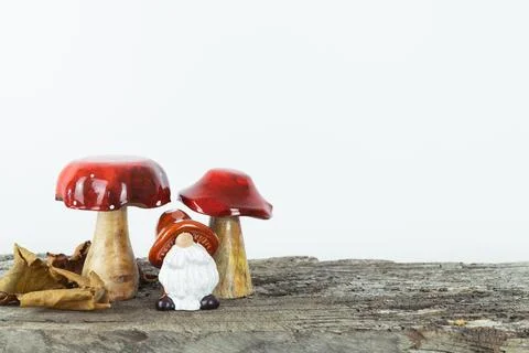 A gnome is standing between two red mushrooms Stock Photos