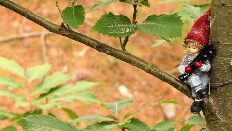 Gnome in a tree Stock Photos