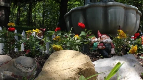Gnomes in a garden Stock Footage 6731116