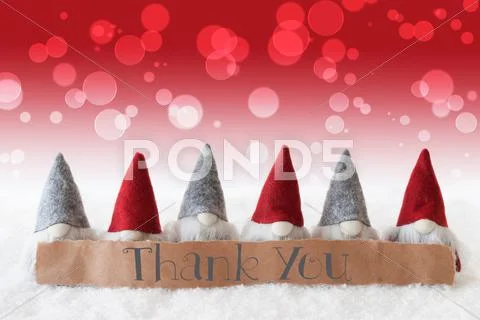 Gnomes, Red Background, Bokeh, Text Thank You Stock Photos