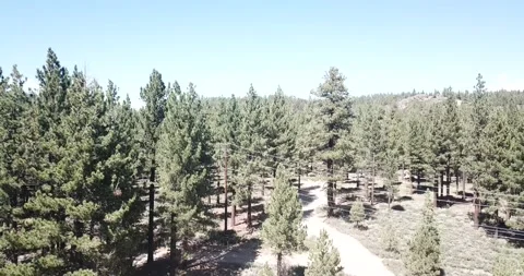 Go Above The Eastern Sierra Nevada Mountains Inyo National Forest Video stock 219581336