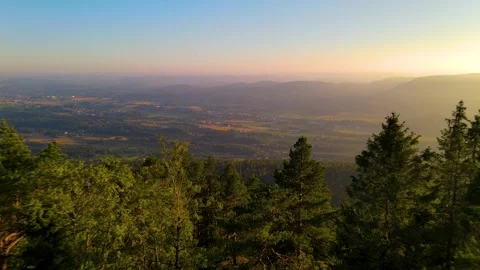 Go Between Top Of The Trees With Beautiful Scene In Background Stock Footage 249907539