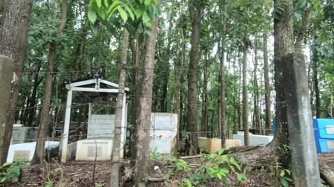 Go-cemetery Stock Footage 169955497