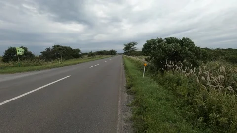 Go down the road Stock Footage 317201538