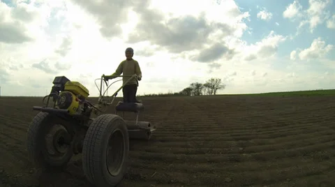 Go on field Stock Footage 36778508