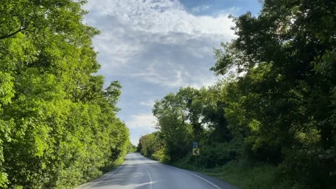 Go on the forest road Stock Footage 134298105