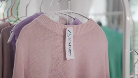 Go green Gen Z reduce manage used clothing, recycling, upcycling, secondhan.. 스톡 동영상 291846350
