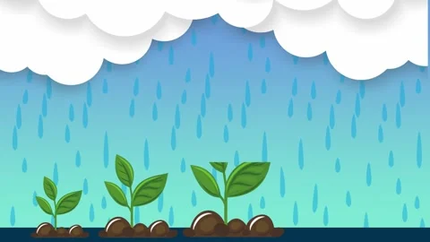 Go green, save the earth by reforesting, planting trees and plants Stock Footage 279433780