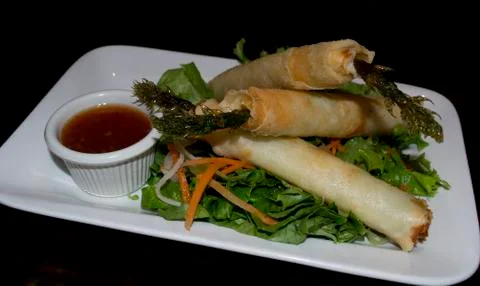 Go Green Springroll Stock Photos