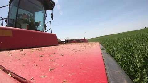 Go Pro - Header of a Swather (3) Stock Footage 221862284