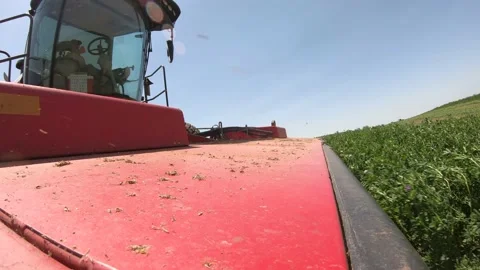 Go Pro - Header of a Swather Crossing a Ditch (2) Stock Footage 221862370