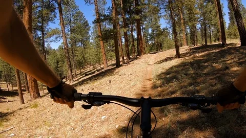Go pro of mountain biker on single-track trail in the Kaibab National Forest. Stock Footage 99659734