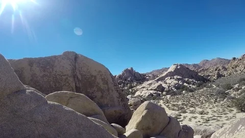 Go Pro Pan of Joshua Tree Stock Footage 79596254