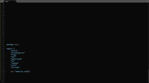 Go Programming Language Source Code Typing Effect. Go Programmer Ticker Color Stock Footage 147972603