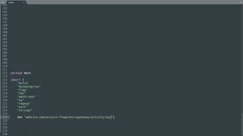 Go Programming Language Source Code Typing Effect. Go Programmer Ticker Color Stock Footage 147972604