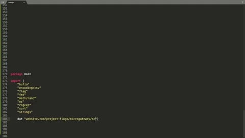 Go Programming Language Source Code Typing Effect. Go Programmer Ticker Color Stock Footage 147972609