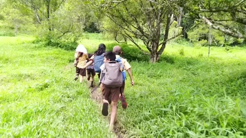 Go to school through the forest Video stock 170836607