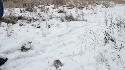 Go snow legs Stock Footage 52515688