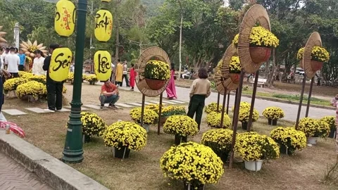 Go to temple ConSon,February 2, 2025 VietNam. Stock Footage 301311779