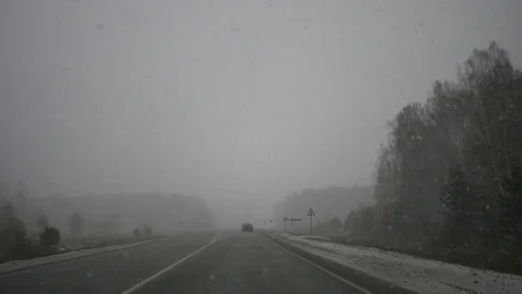 Go through the forest through the forest into snow, snowflakes fly straight into Stock Footage 82835894