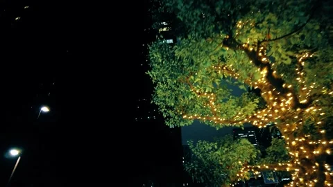 Go through the glowing illuminations of the city at night Stock Footage 224709485