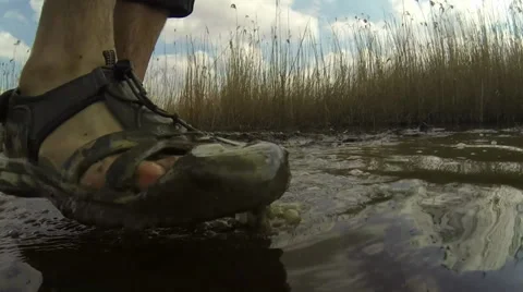 Go underwater Stock Footage 36786039