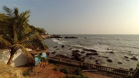 Goa Beach with waves and a palm tree. 스톡 동영상 69917583