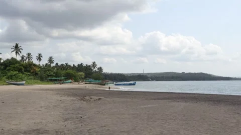 Goa Beautiful Beach With Green Coconut Trees &amp; Blue Sky &amp; Boats On The Beach. Stock Footage 313463948