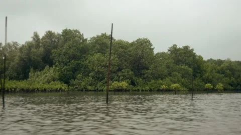 Goa Stock Footage 321292213