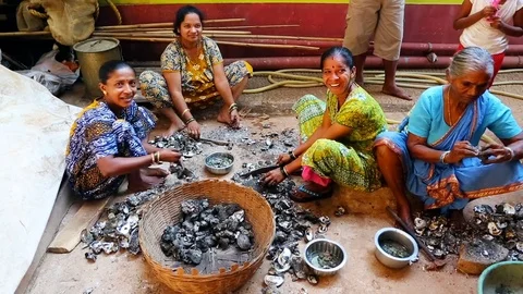 GOA, India  DEC, 2016: Indian Womens cleaning mussels after fishing. Stock Footage 74674479