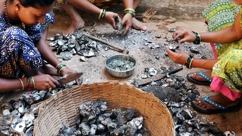 GOA, India  DEC, 2016: Indian Womens cleaning mussels after fishing. Stock Footage 74674486