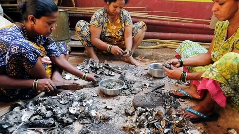 GOA, India  DEC, 2016: Indian Womens cleaning mussels after fishing. Stock Footage 74674538