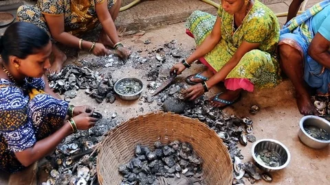 GOA, India  DEC, 2016: Indian Womens cleaning mussels after fishing. Stock Footage 74674547