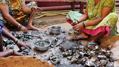 GOA, India  DEC, 2016: Indian Womens cleaning mussels after fishing. Stock Footage 74674557