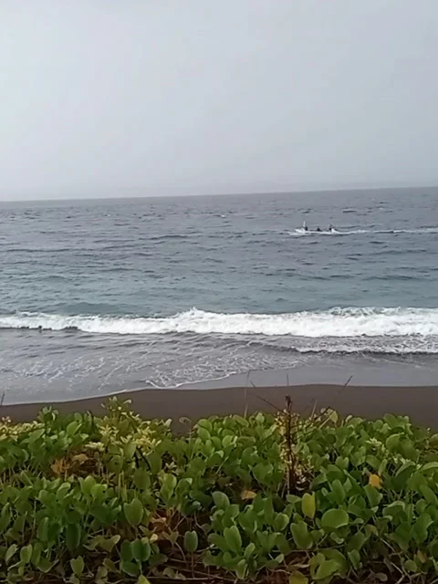 Goa Lawah beach view Stock Footage 172003646