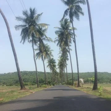 Goa road Foto stock
