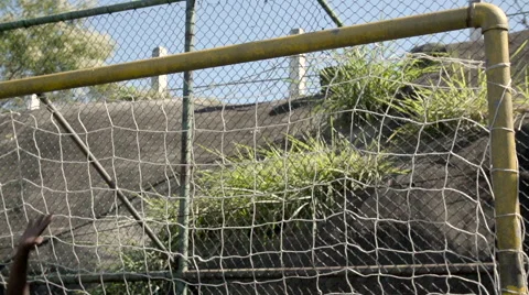 Goal being scored Stock Footage 61292432