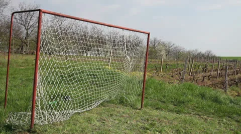 Goal Video stock 23440237